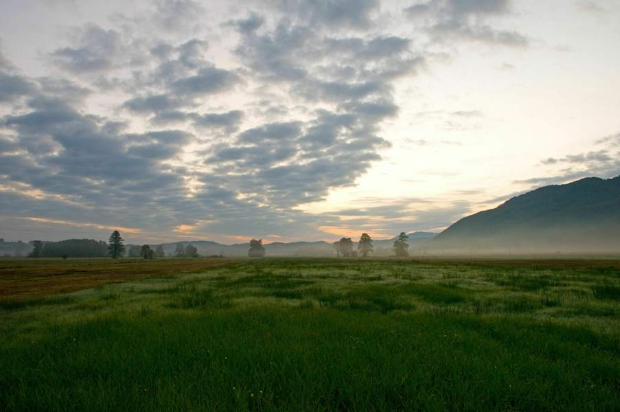 Blick ins Bergener Moos