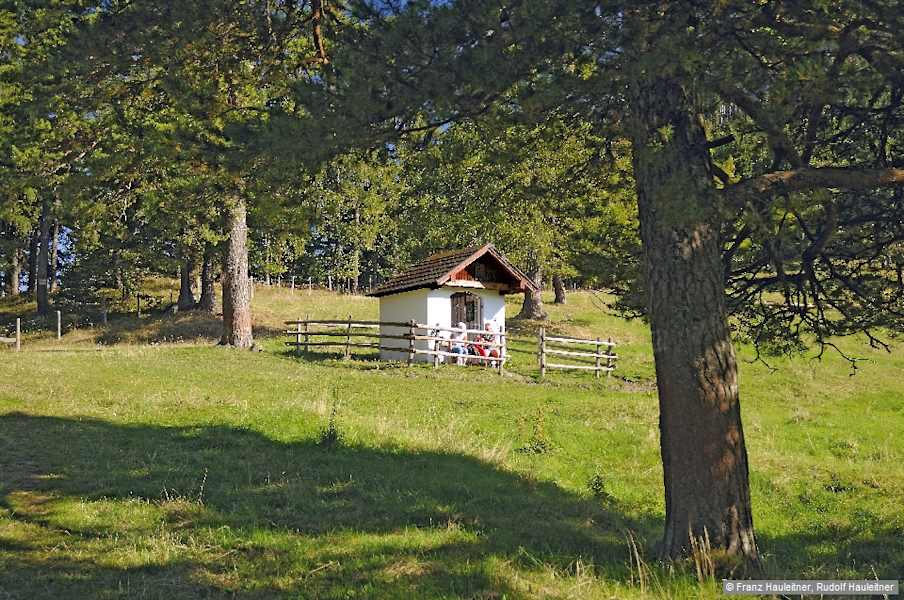 Am Sattel muss man nicht gleich zum Ausgangspunkt zurück, sondern kann an der Jausenstation Schoberalm oder an dem nicht allzu weit entfernten Gasthof Mamauwiese eine Verschnaufpause einlegen.