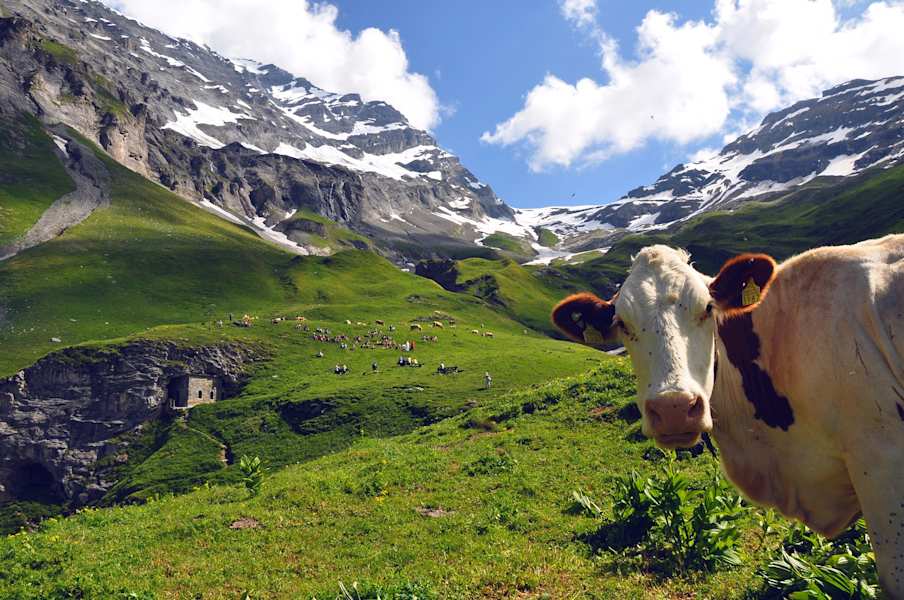 Flüealp mit der Flüekapelle im Hintergrund