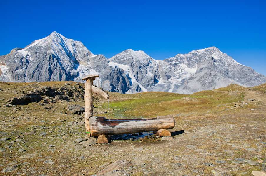 Panorama zu Königspitze, Zebru und Ortler