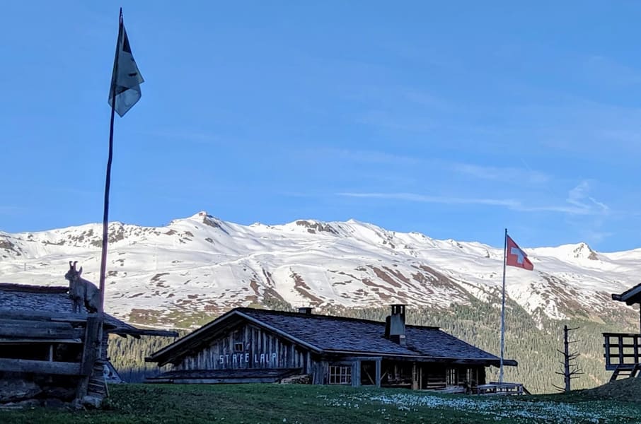StafelAlp mit Jakobshorn im Frühling
