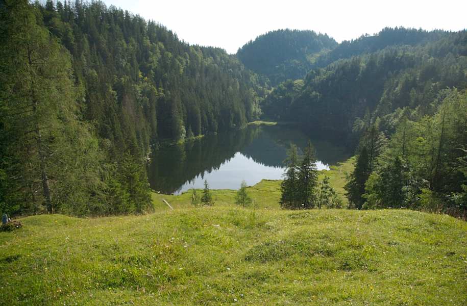 Taubensee