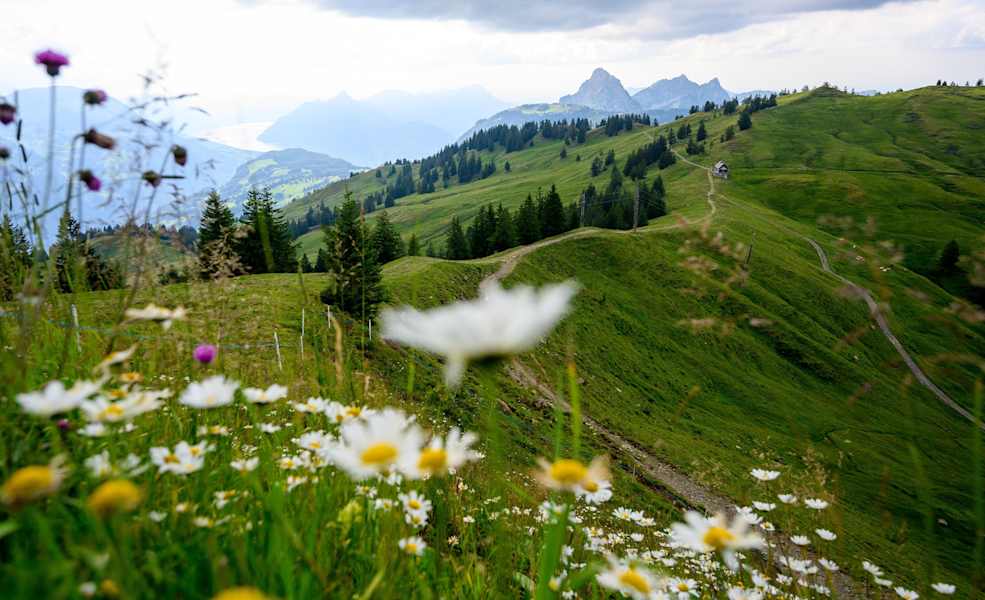 Aussicht auf den Weg vom Spirstock nach Ibergeregg.