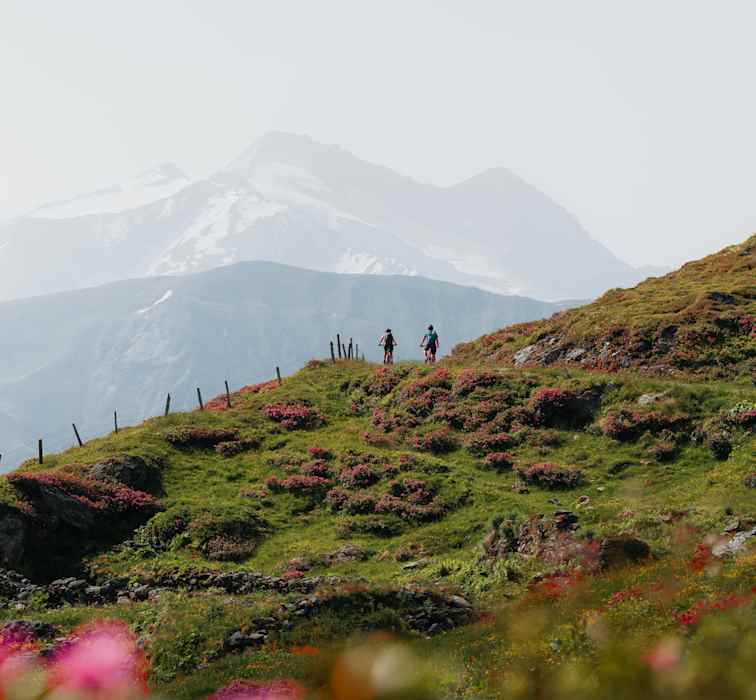 sattelstütze 25.4 carbon 1 Stück MTB Sattelstütze Offset 25mm Mountainbike Sitzrohr 25,4/27,2/31,6 Ultra-licht Glanz/Matt Straße Fahrrad Sattelstütze SattelstüTze Gefedert ( Color : 3K Glossy 25.4x350 ) Sport & Freizeit Puky Kinderfahrrad YOUKE 16 category_goggle_system Color:Black / Gold