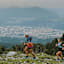 1_ein_lauf_nach_der_uni_in_innsbruck