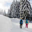 Seefeld Winterweitwanderweg