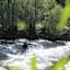 Riversurfen