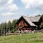 Blahbergalm-Florian-Lierzer-BW-Luchstrail