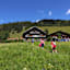 Breitenebenalm