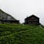 Martinsmad Hütte