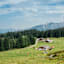 Kührointhütte