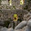Die Ruine Wartenfels