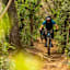 Mountainbike Trail Le Api in der Nähe von Punta Ala in der Maremma
