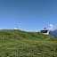 Astenau Alpe