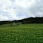 Saftige Wiese am Anfang der Tour