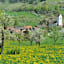 Schmuckes Oltingen während der Kirschblüte