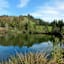 Bachtelweiher