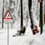 Schlittelspass am Üetliberg