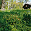Der Hasenbuck – ein botanisches Paradies.