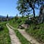 Wandern auf dem Weinlehrpfad in Girlan
