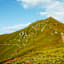 Das Wiedersbergerhorn