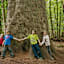 Vier Kinder sind zu wenig! Bei der »dicken Tanne«.