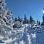 Buchbergkogel