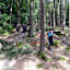 Schönen Trails durch den Wald