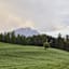 Wildermieming-Fiecht