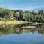 foret-de-la-laigue-13617-2_0