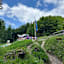 Wanderung zur Grünsteinhütte