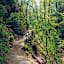 Über Holzstege und -brücken durch die romantische Hagenbachklamm.