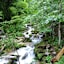 Im Harteslgraben im Nationalpark Gesäuse