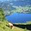 Vom Heuberg Blick auf den Walchsee