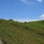 Auf der Feistritzer Alm
