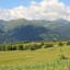 Sonnenüberflutete Bergwiesen der Kircher Alm