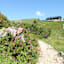 Landsberger Hütte