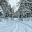 Winterlicher Wald im Aufstieg zum Brauneck
