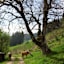 Wanderweg Q6