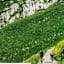 Rundtour von Malcesine nach Campo di Brenzone