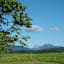 Siegsdorfer Sommerlandschaft