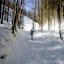 Sanfter Aufstieg durch den Wald im ersten Teil der Tour