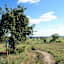 usedomer-schweiz-13626-3_0