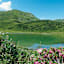 Alpenrosen oberhalb des Schlappoldsees.
