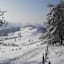 Knapp vorm Schobersberg - Blick auf Windhag