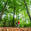 Durch schöne Waldabschnitte führt der Wildnis-Trail.