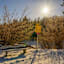 Winterwandern Mieming