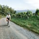 Sport trifft Kulinarik – Gravelbiken in der Südsteiermark