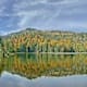 Nationalpark Bayerischer Wald feiert 50. Geburtstag