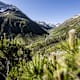 Bergsteigerdörfer Lavin, Guarda und Ardez im Unterengadin